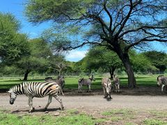 -卡塞拉自然公园