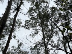 -水濂山森林公园