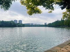 -麦当劳(长沙东风路店)