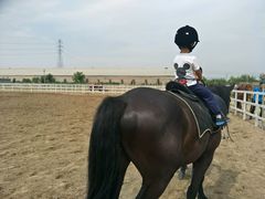 -月河湾马术俱乐部(朝阳店)