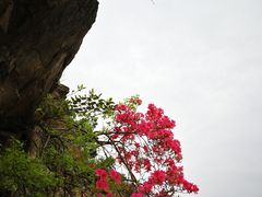 -木兰云雾山
