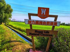 -嘉北郊野公园