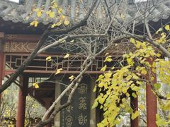 -碑林公园