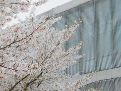 -龙美术馆(西岸馆)