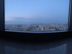 -上海龙之梦万丽酒店