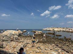 -养马岛旅游度假区