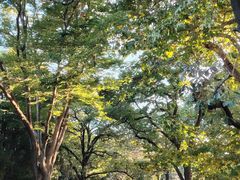 -青岛中山公园-索道售票处