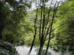 -西岭雪山大飞水景区