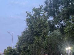-宫门口馒头铺(创始人总店)