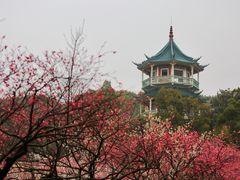 -无锡梅园公园