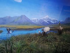 -昆明动物博物馆