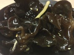 姜丝木耳-火候轩品质湘菜·私厨(市府店)