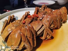-蟹榭·本帮江浙菜·蟹宴(五角场合生汇商场店)