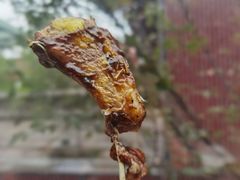 -唐猫庭院·千年陕菜(大唐不夜城店)