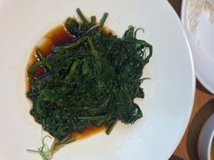 -滇铺子·云南特色菜·第九届野生菌美食节(东风东路c86店)