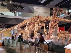 -墨尔本博物馆(Melbourne Museum)