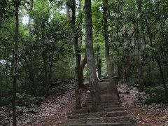 -九曜山