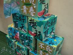 -后湖小院·乡野田园菜