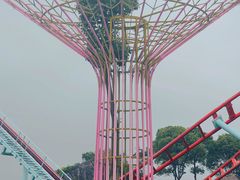 -温州乐园