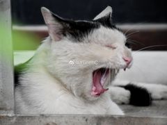 -隹木咖啡馆(宝龙广场店)