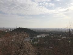 -上海佘山国家森林公园西佘山园