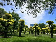 -西海子公园