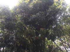 -南宁南湖公园