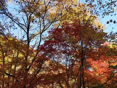 -关门山森林公园