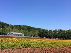 iphone_upload_pic-富田农场