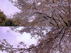 -玉山公园