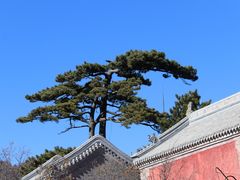 -妙峰山风景名胜区