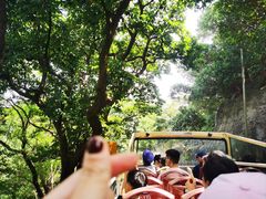 -Big Bus Tours 敞篷观光巴士