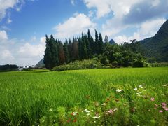 -万峰林风景区