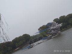 -上海鲜花港