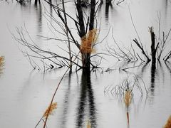 -野鸭湖国家湿地公园