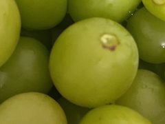 -袁记云饺(浦驰路店)