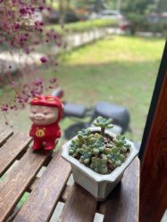 -JC·YOGA静禅瑜伽普拉提