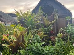 -自然餐厅(Phuket)
