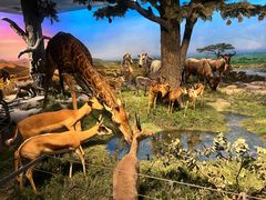 -国家自然博物馆