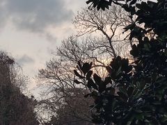 -杭州植物园