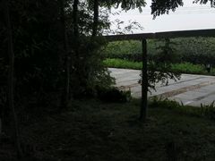 android_upload_pic-零度空间·台湾小馆(五道口购物中心店)