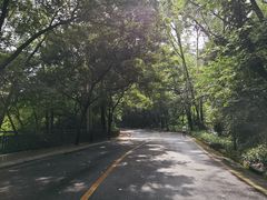 -南国桃园旅游度假区