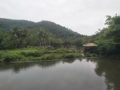 -呀诺达热带雨林