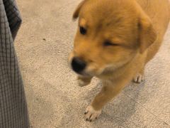 -宠颐生汉谟拉比宠物医院