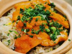 奥尔良鸡焗饭-喜上喜鸡煲翅(吉大店)