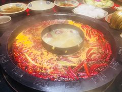 -渝大狮毛肚老火锅(普陀店)