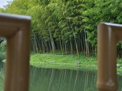 -杭州植物园