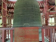 -越秀西湖花市(广州城市广场花卉店)