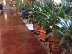-威斯汀酒店Exchange大堂吧