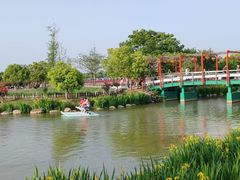 -荷兰花海